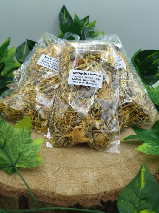 Marigold / Calendula Flowers