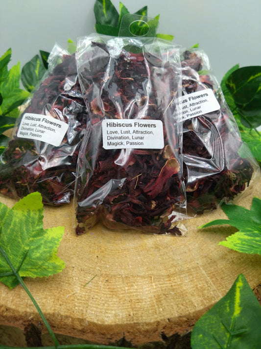 Hibiscus Flowers