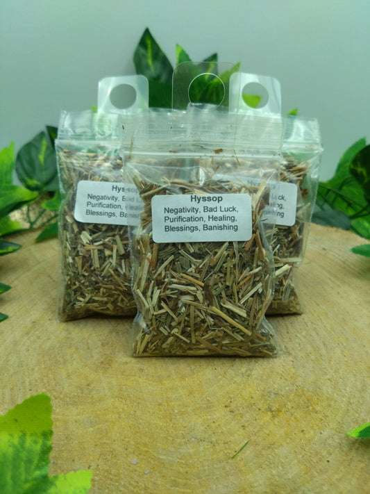 Hyssop