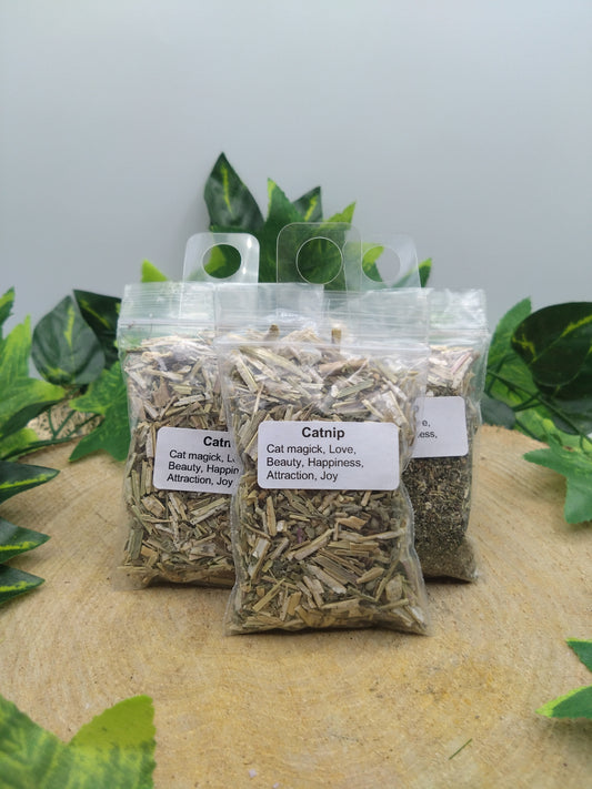 Catnip