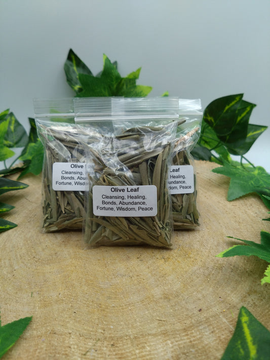 Olive Leaf