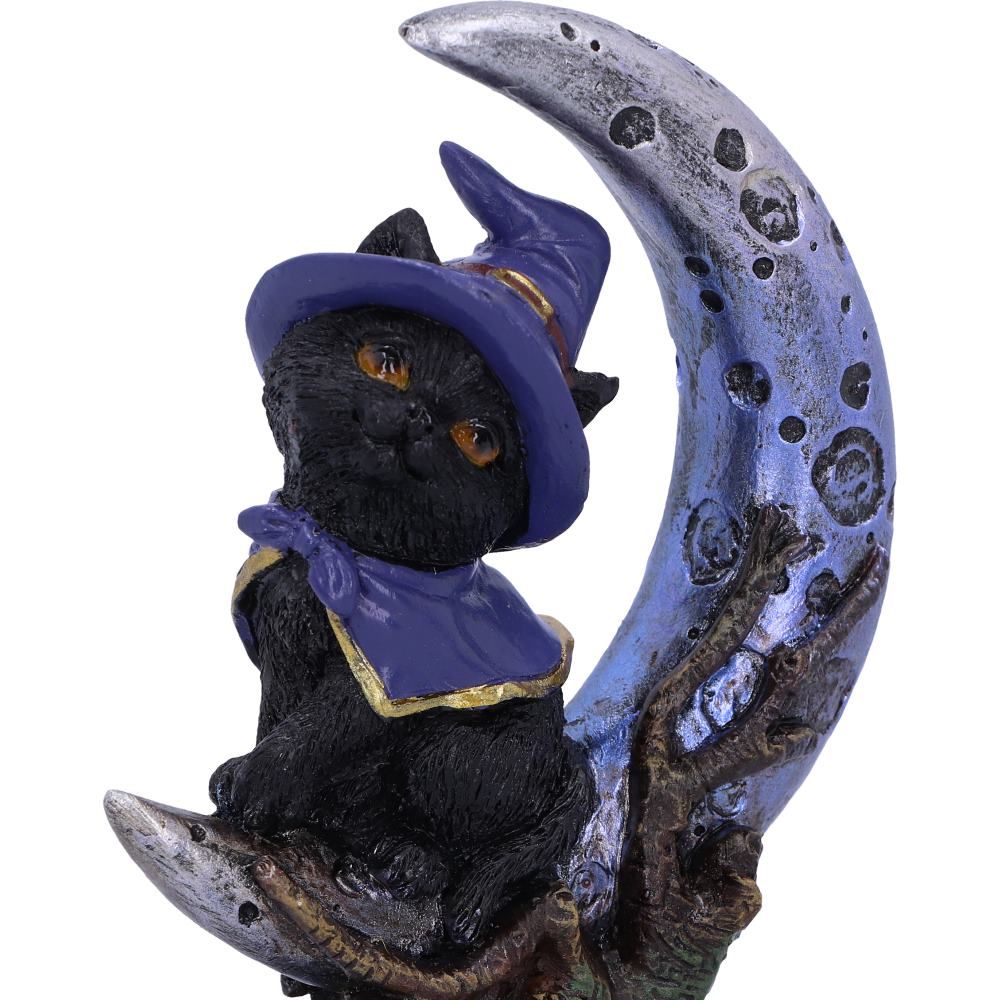 Sooky Witches Familiar