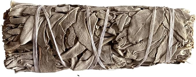 White Sage Smudge Stick 4"
